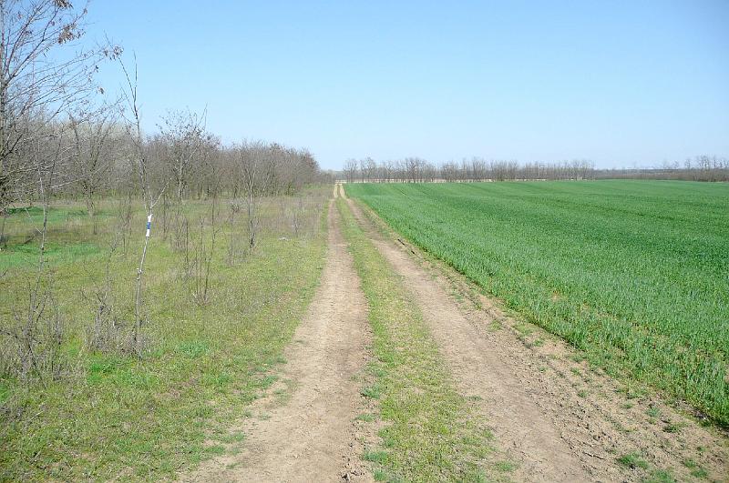 akk 07.JPG